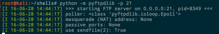 Python FTP Server