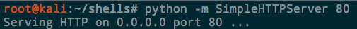 Python server start