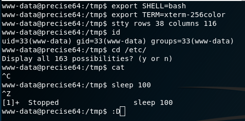 using netcat reverse shell