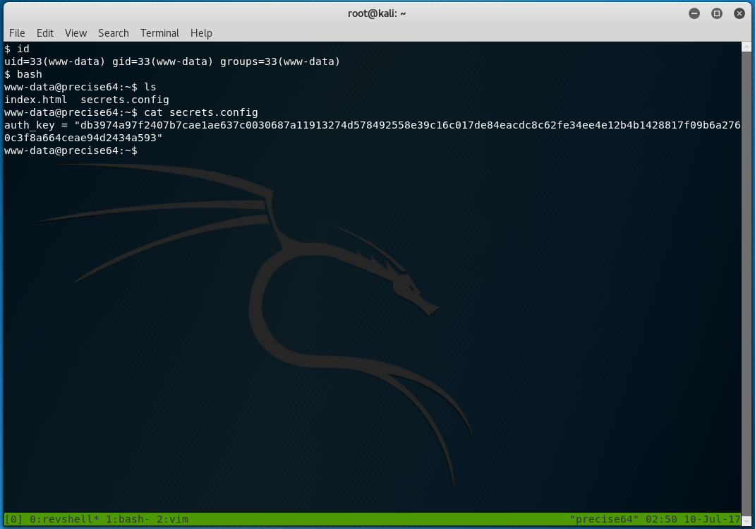 netcat reverse shell listener mc