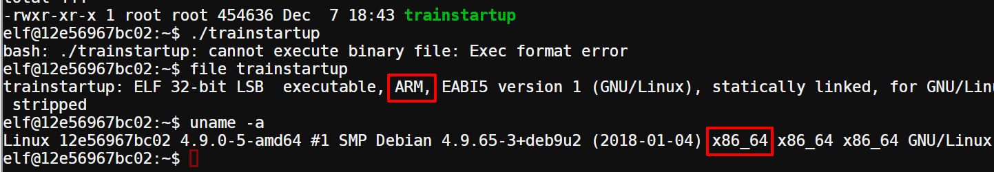 ARM binary in x86_64