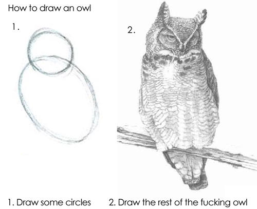 the rest of the owl
